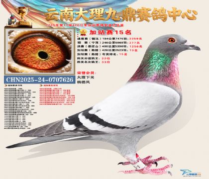 大理九鼎加站赛15名