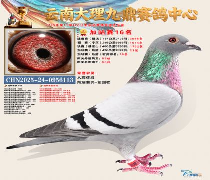 大理九鼎加站赛16名