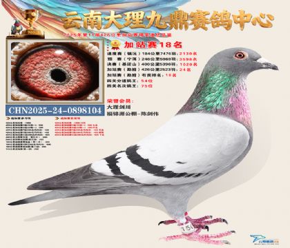 大理九鼎加站赛18名