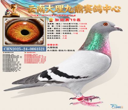 大理九鼎加站赛19名