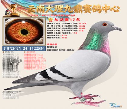 大理九鼎加站赛17名