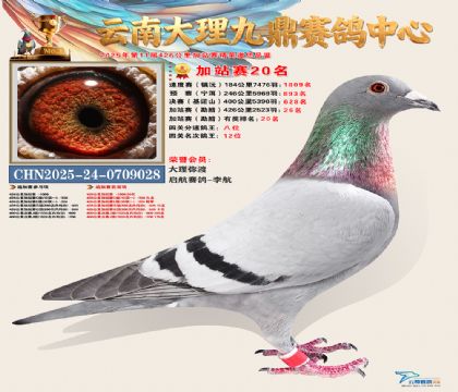 大理九鼎加站赛20名