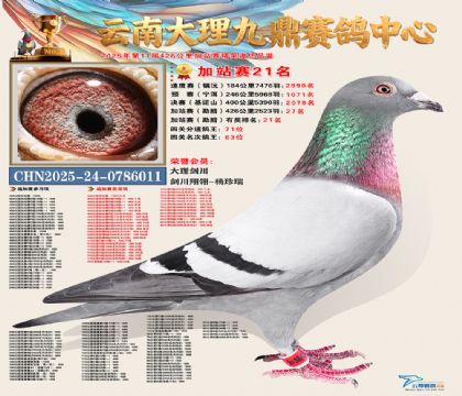 大理九鼎加站赛21名