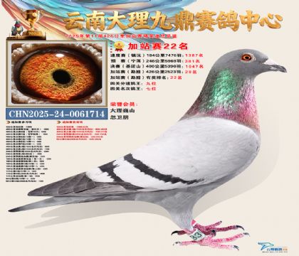 大理九鼎加站赛22名