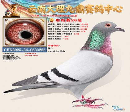 大理九鼎加站赛26名