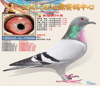 大理九鼎加站赛25名