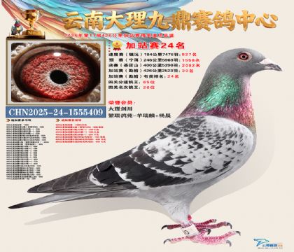 大理九鼎加站赛24名