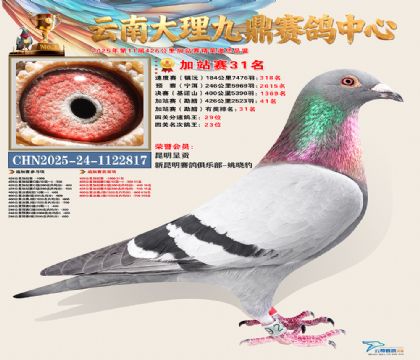 大理九鼎加站赛31名