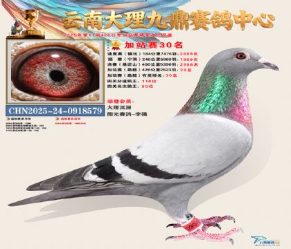 大理九鼎加站赛30名