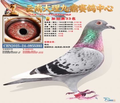 大理九鼎加站赛33名