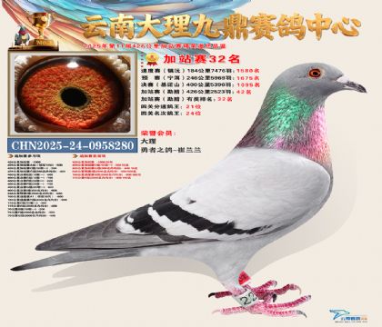 大理九鼎加站赛32名