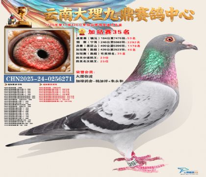 大理九鼎加站赛35名