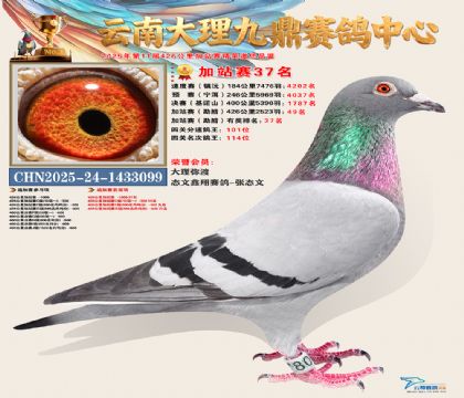 大理九鼎加站赛37名