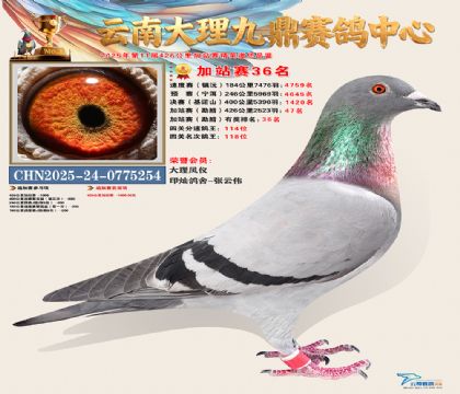 大理九鼎加站赛36名