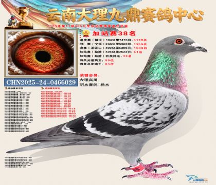 大理九鼎加站赛38名