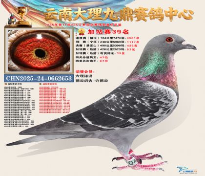 大理九鼎加站赛39名