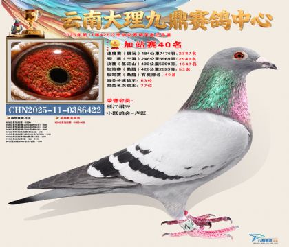 大理九鼎加站赛40名