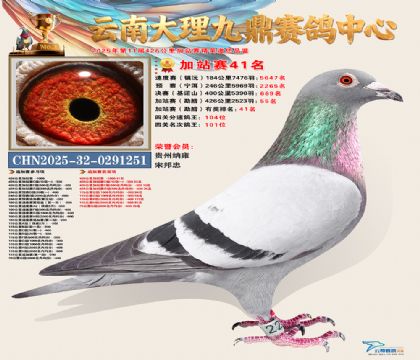 大理九鼎加站赛41名