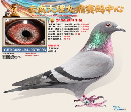 大理九鼎加站赛43名