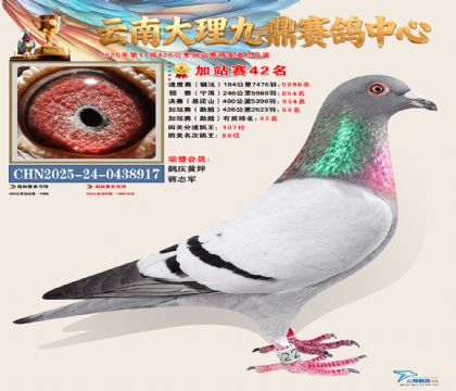 大理九鼎加站赛42名