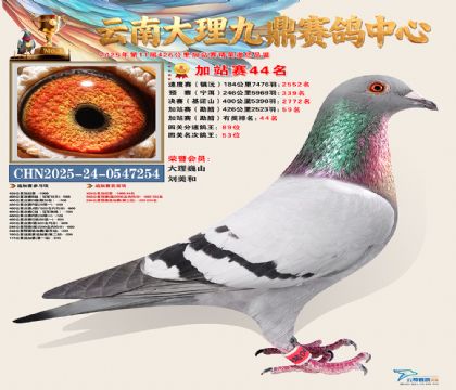 大理九鼎加站赛44名