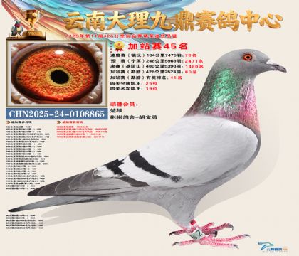 大理九鼎加站赛45名