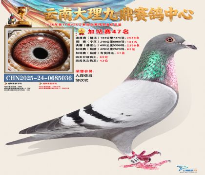 大理九鼎加站赛47名