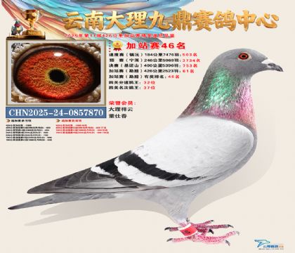 大理九鼎加站赛46名