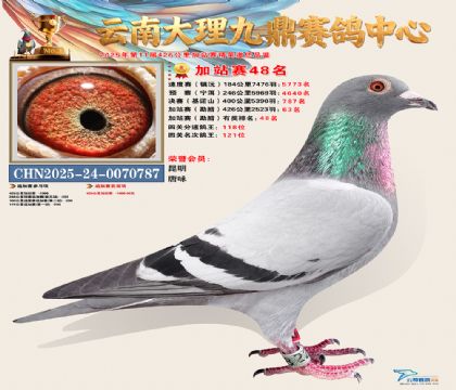 大理九鼎加站赛48名