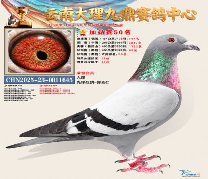 大理九鼎加站赛50名