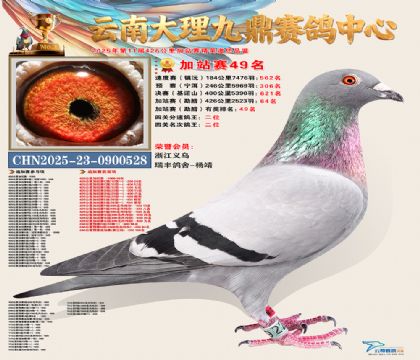 大理九鼎加站赛49名