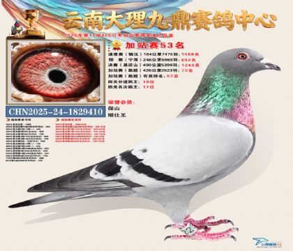 大理九鼎加站赛53名