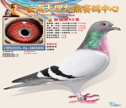 大理九鼎加站赛52名