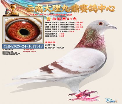 大理九鼎加站赛51名