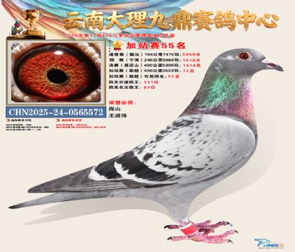 大理九鼎加站赛55名