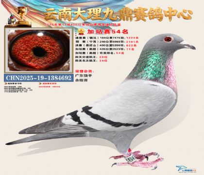 大理九鼎加站赛54名