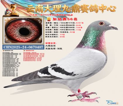 大理九鼎加站赛56名