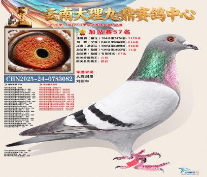 大理九鼎加站赛57名