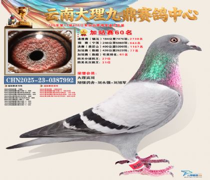 大理九鼎加站赛60名