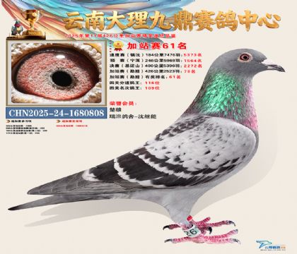 大理九鼎加站赛61名