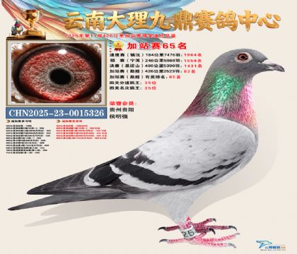 大理九鼎加站赛65名