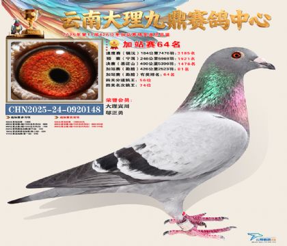 大理九鼎加站赛64名