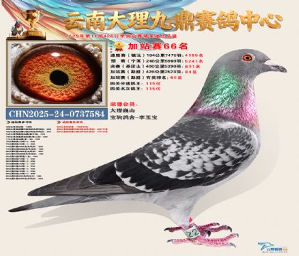 大理九鼎加站赛66名