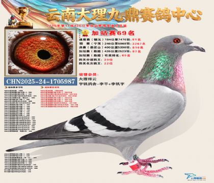 大理九鼎加站赛69名