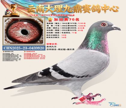 大理九鼎加站赛70名