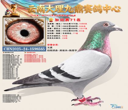 大理九鼎加站赛71名