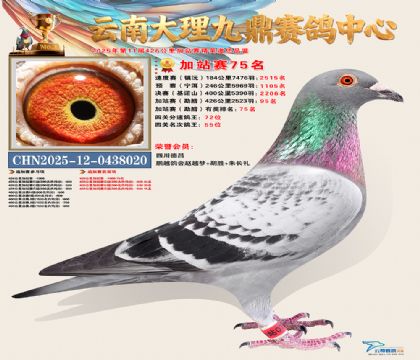 大理九鼎加站赛75名