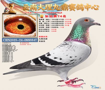 大理九鼎加站赛74名