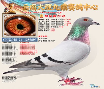 大理九鼎加站赛73名