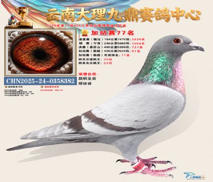 大理九鼎加站赛77名